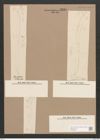 Rhoicosigma lineare Grun. (de-Toni-Nr.: Genus 15, Species 1133) Zeichnungen Sammlung Grunow Nr. 2230 (NHMW-BOT-W0369320)